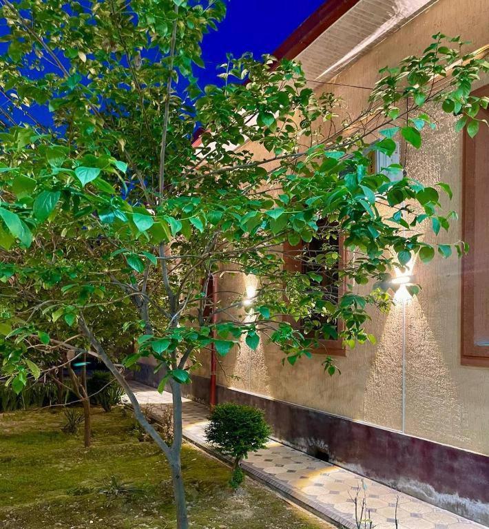 Amor Fati Hotel Tashkent Exterior foto
